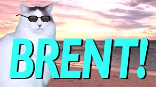 HAPPY BIRTHDAY BRENT  EPIC CAT Happy Birthday Song [upl. by Icul]