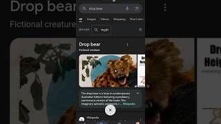 Drop bear dropbear google [upl. by Aztilay]