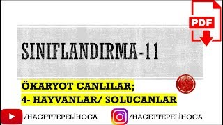 60  SINIFLANDIRMA  11  SOLUCANLAR   TYT  9Sınıf  hacettepelihoca [upl. by Ahsiemac]