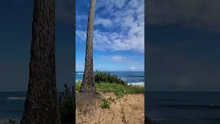 Las vistas que tienes cuando vives en Puerto Rico Piñones Loiza puertorico boricua [upl. by Rramahs]