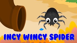 Incy Wincy Spider  Incy Wincy Spider Nursery Rhyme with lyrics [upl. by Ahsotal272]