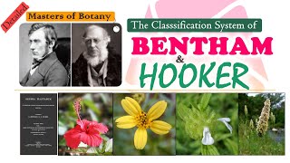 Bentham amp Hooker Classification System  Genera Plantarum  Natural Classification System  Detailed [upl. by Yma165]