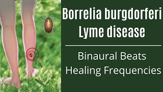 Borrelia burgdorferi Lyme disease  Binaural Beats  Healing Frequencies [upl. by Anielram]