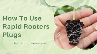 How To Use Rapid Rooters Plugs [upl. by Sonahpets959]