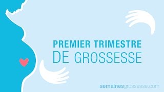 Premier trimestre de grossesse  La grossesse trimestre par trimestre [upl. by Parker]