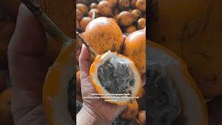 Cara mengupas buah markisafruitcarving buah fruitcarvingtutorial viral fyp carving pineaple [upl. by Nauqram949]