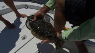 St Augustine Florida Fishing for Cobia Redfish and Flounder [upl. by Illene689]