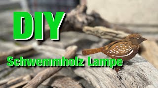 DIY Lampe aus Schwemmholz selber quotbastelnquot [upl. by Aksoyn998]