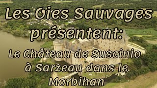 Château de Suscinio à Sarzeau dans le Morbihan 56 [upl. by Polky]