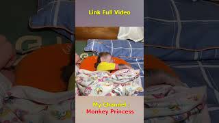 Monkey NANA poops while sleeping monkey smartmonkey shorts babymonkey monkeydluffy monkeylove [upl. by Saenihp482]