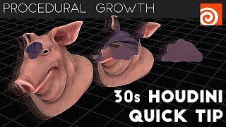 Houdini 30s Quick Tip 1  Procedural Growth [upl. by Nhguav]