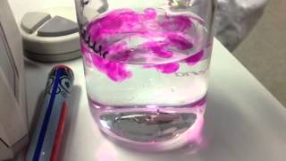 NaOH  Phenolphthalein [upl. by Nnylav985]