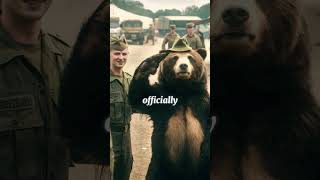 Wojtek The BeerDrinking Bear of World War IIhistory facts shorts [upl. by Anair]