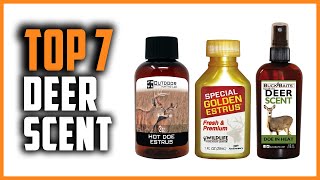 Best Deer Scent in 2024  Top 7 Deer Scents Attractant Review [upl. by Archangel]