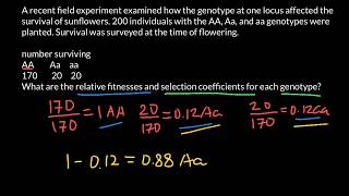 How to Find Relative Fitness and Selection Coefficient [upl. by Arrio]