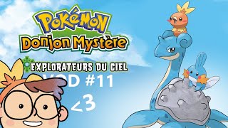 ON VOL VERS LES TERRES ILLUSOIRES  Pokemon Donjon Mystère VOD 11 [upl. by Ellesirg]