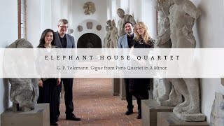 Elephant House Quartet Telemann Gigue from Paris Quartet in A Minor [upl. by Dloraj772]