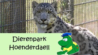 Dierenpark Hoenderdaell 2023 [upl. by Llegna]