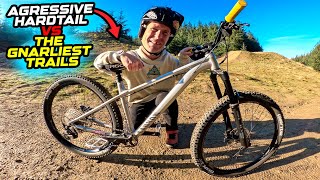 AGGRESSIVE HARDTAIL MTB vs GNARLIEST TRAILS IN THE BIKEPARK [upl. by Teraj]