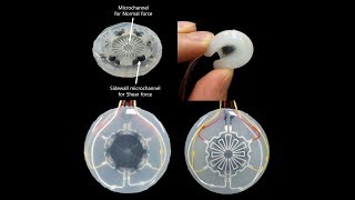 A Soft 3Axis Load Cell using LiquidFilled 3D Microchannels [upl. by Ambrosia]