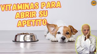 💝 VITAMINAS PARA ABRIR EL APETITO EN PERROS 💝 [upl. by Toddie]