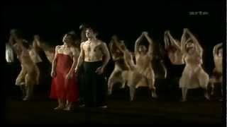 Pina Bausch Wuppertal Dance Theater Le Sacre Du Printemps [upl. by Barbaresi]