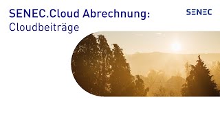 SENECCloud Abrechnung Zusammensetzung der Beiträge [upl. by Nacnud373]