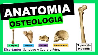 ▌ANATOMÍA ▌OSTEOLOGIA ▌ TIPOS DE HUESOS Y CLASIFICACIÓN ▌💀 [upl. by Eillod]