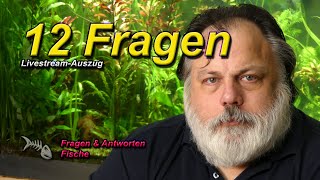 12 ALLGEMEINE FRAGEN rund um das Aquarium [upl. by Veriee]