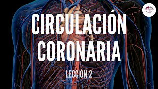 2 CIRCULACIÓN CORONARIA ESTRUCTURA Y FUNCIÓN DEL SISTEMA CARDIOVASCULAR [upl. by Eenar]