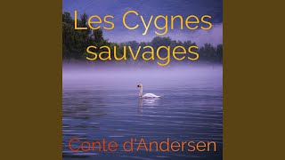 Partie 8 Les Cygnes sauvages Hans Christian Andersen Livre audio [upl. by Naejeillib250]