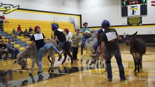 FHS Student Basketball Player Dunks It During Donkey Ball [upl. by Elum731]