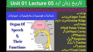 UNIT 01 Lecture 6 URdu ki aham boliyan Lesani infradiyatSoutyat phonimiyaat Maarfeemyatugcnetjrf [upl. by Hapte283]