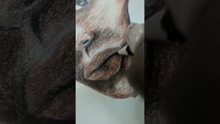 Draw Like a PRO Mastering Portrait Drawing in Color Techniques [upl. by Elbas]