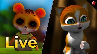 🔴 LIVE STREAM 🎬 Kathu Pupi and Banu Bablu Live for Kids 😻 🐶 [upl. by Haden]