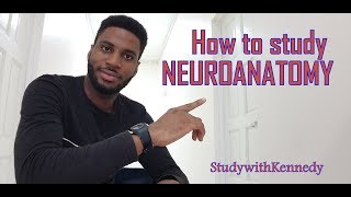 How to study Neuroanatomy  Studywithkennedy [upl. by Millicent]