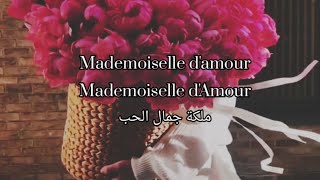 BZN Mon Amour أغنية مترجمة [upl. by Mordecai]