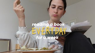 i read a book every DAY for a WEEK [upl. by Wilser]