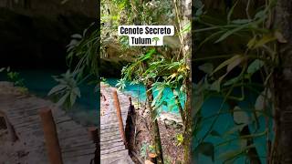 Cenote Secreto en Tulum 🌴💦 energiafemenina madreagua tulum [upl. by Citarella]