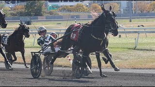 2024 Breeders Crown 2YO Pacing Fillies Elim The Meadowlands  Looksgoodinloulou 1484 [upl. by Michelle]