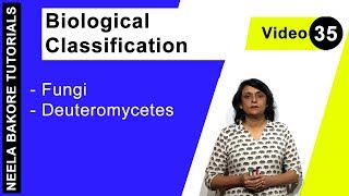 Biological Classification  NEET  Fungi  Deuteromycetes  Neela Bakore Tutorials [upl. by Adeirf]