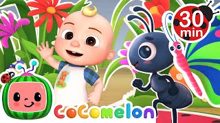 Ants Go Marching Dance  More Nursery Rhymes amp Kids Songs  CoComelon [upl. by Shira840]