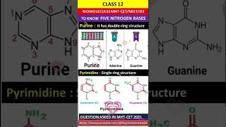 nitrogenous basebiomolecules biomleculespyqbiomolcules tricks [upl. by Childers]