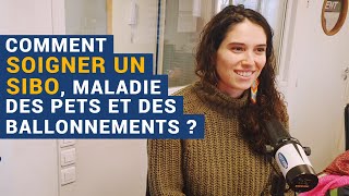 AVS Comment soigner un SIBO maladie des pets et des ballonnements   Dora Moutot [upl. by Roslyn]