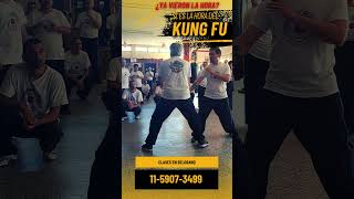 Pek Choy una Técnica Demoledora de Kung Fu claseskungfu kungfutradicional kungfuargentina [upl. by Prudi223]