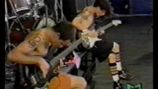 RHCP  John Frusciante and Flea Solo Pretty Little Ditty live Pink Pop 1990 [upl. by Radferd]