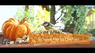 Schöne Herbstferien [upl. by Norrat]