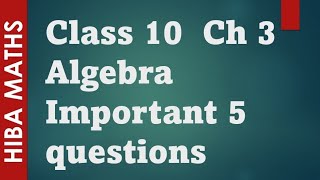 10th maths chapter 3 algebra important 5 mark question tn samacheer hiba maths [upl. by Lehctim]