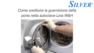 Come sostituire la guarnizione della porta nella autoclave Lina WampH [upl. by Marylee3]