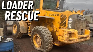 Rescuing an Abandoned Loader  Will it run [upl. by Pfister]